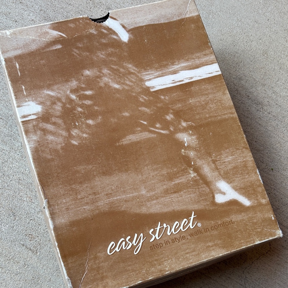 Easy Street Brown and White Shoe Box